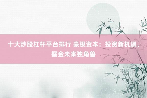 十大炒股杠杆平台排行 豪极资本：投资新机遇，掘金未来独角兽