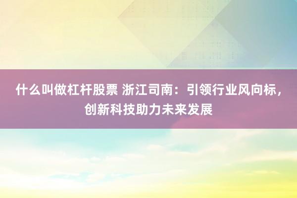 什么叫做杠杆股票 浙江司南：引领行业风向标，创新科技助力未来发展