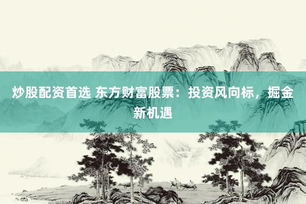 炒股配资首选 东方财富股票：投资风向标，掘金新机遇