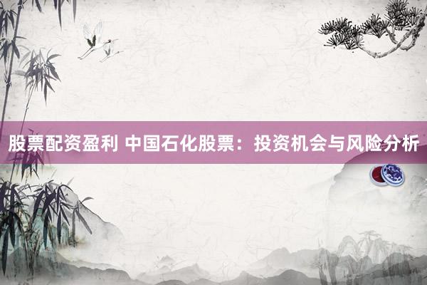 股票配资盈利 中国石化股票：投资机会与风险分析
