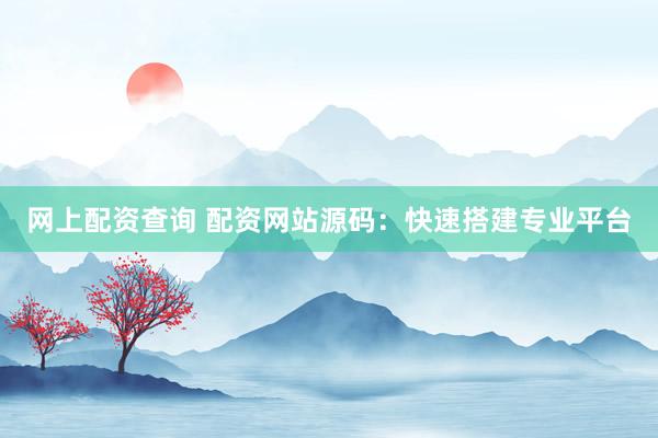 网上配资查询 配资网站源码：快速搭建专业平台