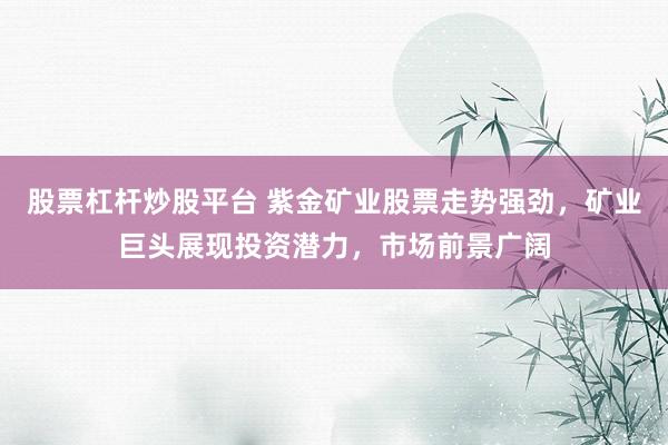 股票杠杆炒股平台 紫金矿业股票走势强劲，矿业巨头展现投资潜力，市场前景广阔