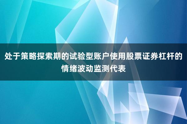 处于策略探索期的试验型账户使用股票证券杠杆的情绪波动监测代表