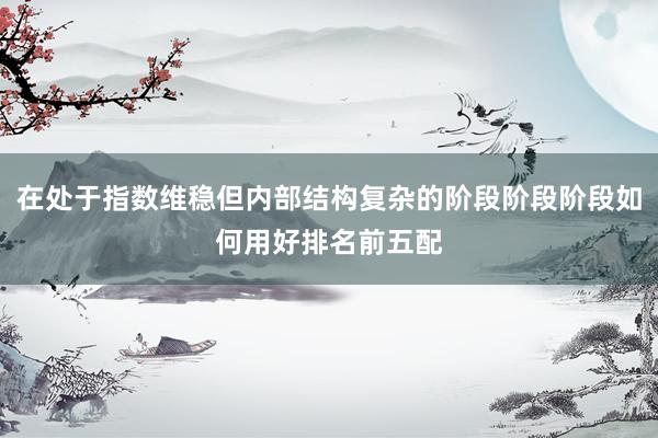 在处于指数维稳但内部结构复杂的阶段阶段阶段如何用好排名前五配