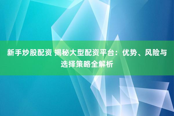 新手炒股配资 揭秘大型配资平台:优势、风险与选择策略全解析